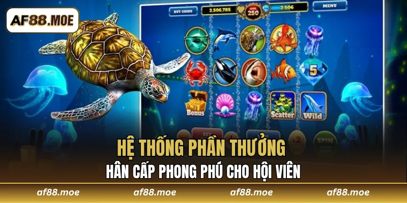 Hệ thống phần thưởng phân cấp phong phú cho hội viên